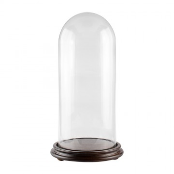 Glass Bell DIameter 22 cm