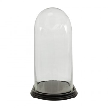 Glass Dome with Oval Base...