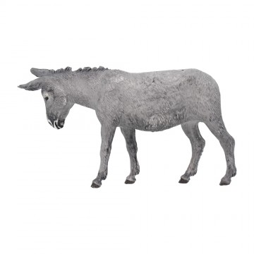 Donkey Standing for...