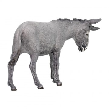 Donkey Standing for...