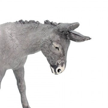 Donkey Standing for...