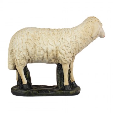 Sheep for Plaster Nativity...