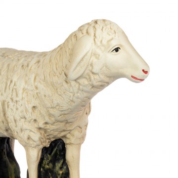 Sheep for Plaster Nativity...