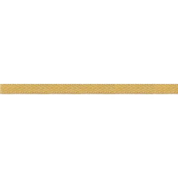 Golden Galloon for...