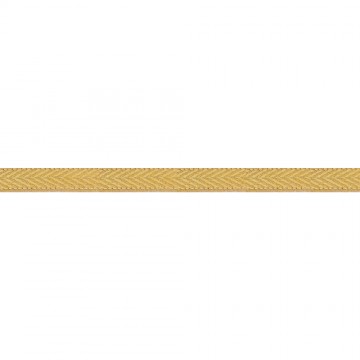 Golden Galloon for...