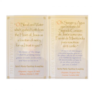 Fabric Scapular Merciful Jesus