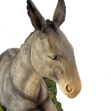 Ox and Donkey in Fiberglass...