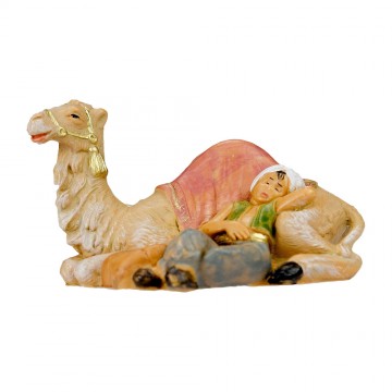 Camel Driver with Camel...