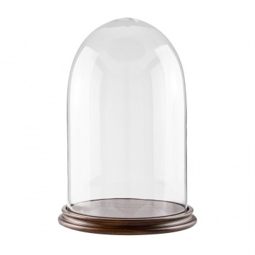 Glass Dome Diameter 10 cm