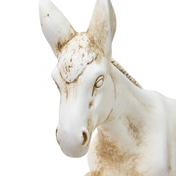 Donkey Euromarchi Nativity...