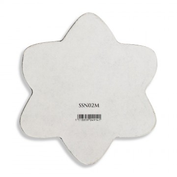 Star Magnet in Resin with...