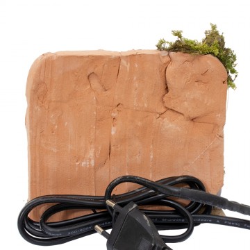 Woman Cooking Animated...