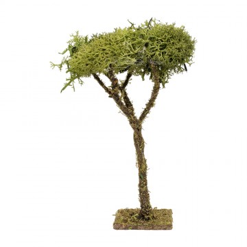 Lichen Tree 12 cm Tall