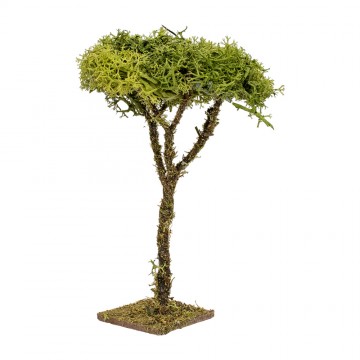 Lichen Tree 12 cm Tall