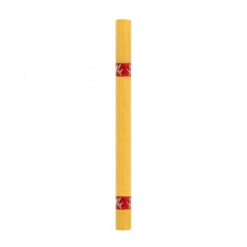 Paschal Candle in Painted...