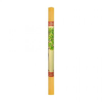 Paschal Candle in...