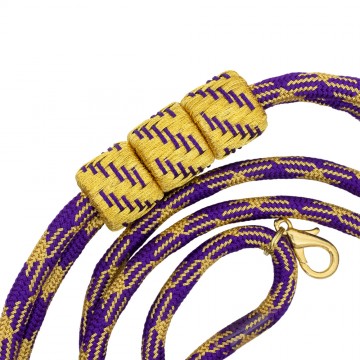 Gold and Purple Cord for...