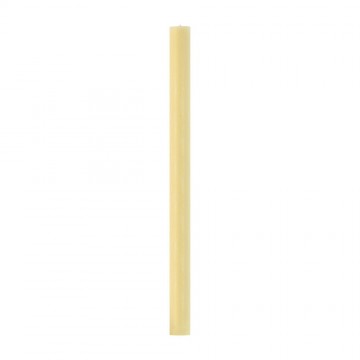 Paschal Candle with...