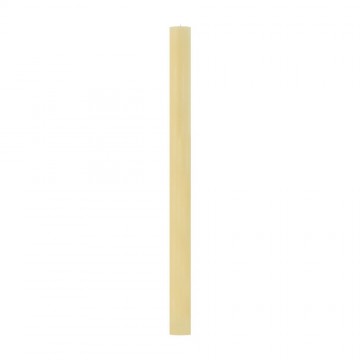 Paschal Candle with...