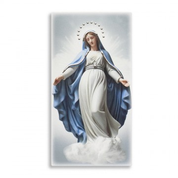 Immaculate Conception...