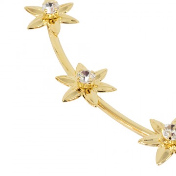 Brass Star with Rhinestones...