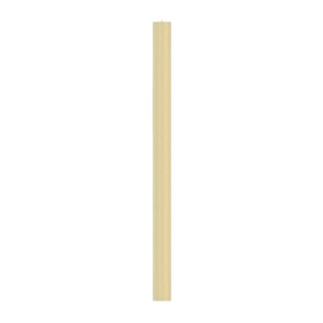Paschal Candle with Alpha...