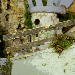 Nativity Scene Complete...