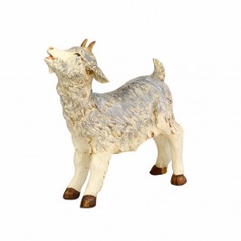 Little Goat Fontanini 125 cm
