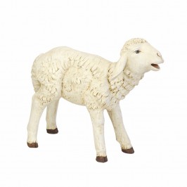 Lamb Fontanini 180 cm