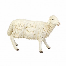 Sheep Standing Fontanini...