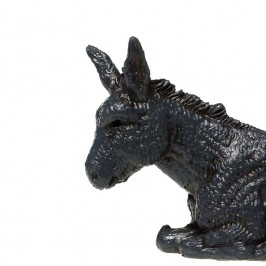Donkey for Nativity
