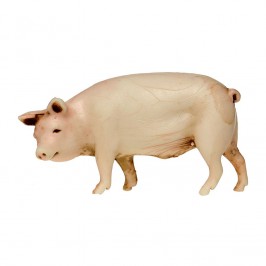 Farm Animals for Nativity...