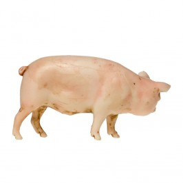 Farm Animals for Nativity...