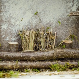 Stable with Wooden Door for...