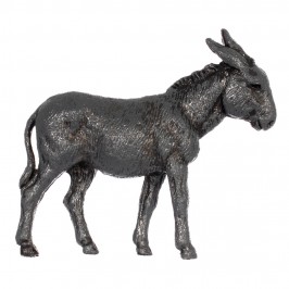 Camel Horse and Donkey...