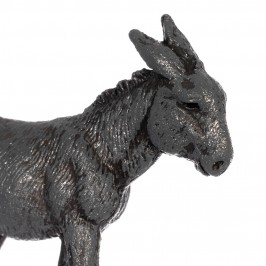 Camel Horse and Donkey...