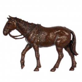 Camel Horse and Donkey...