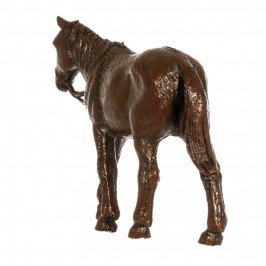 Camel Horse and Donkey...