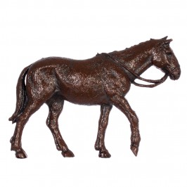 Camel Horse and Donkey...