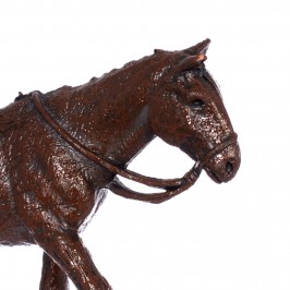 Camel Horse and Donkey...