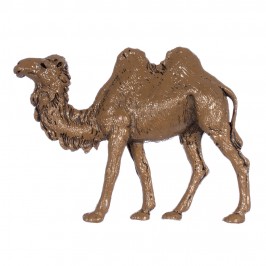 Camel Horse and Donkey...