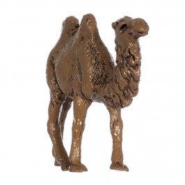 Camel Horse and Donkey...