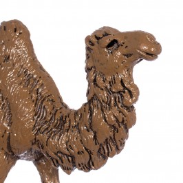 Camel Horse and Donkey...