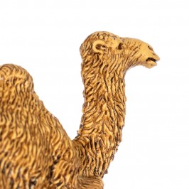 Assorted Camels Landi 3.5 cm