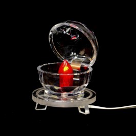 Plexiglass Lamp for Statues