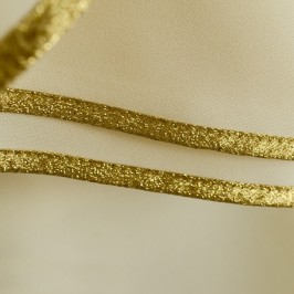 Dalmatic with Embroidery