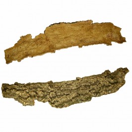 Natural Cork Bark