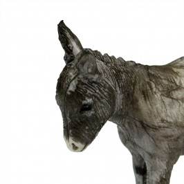 Donkey and Little Donkey Landi