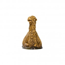 Camel Landi 10 cm