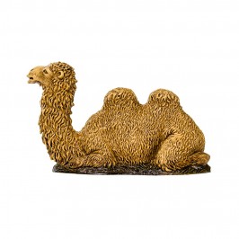 Camel Landi 10 cm